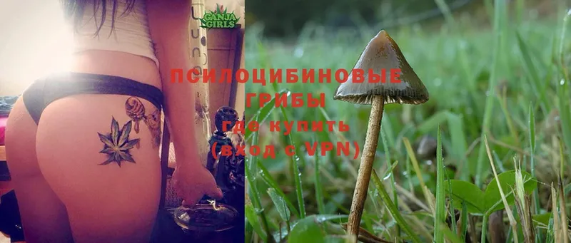 Галлюциногенные грибы MAGIC MUSHROOMS  Лабинск 